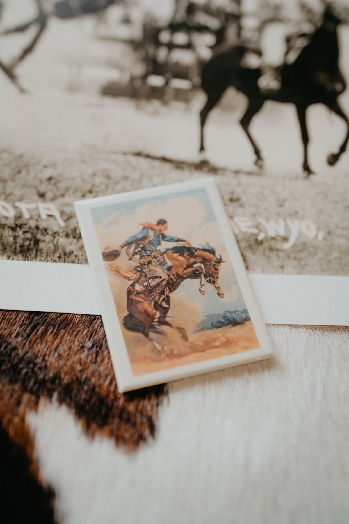 Vintage Western Magnets (Various Prints)