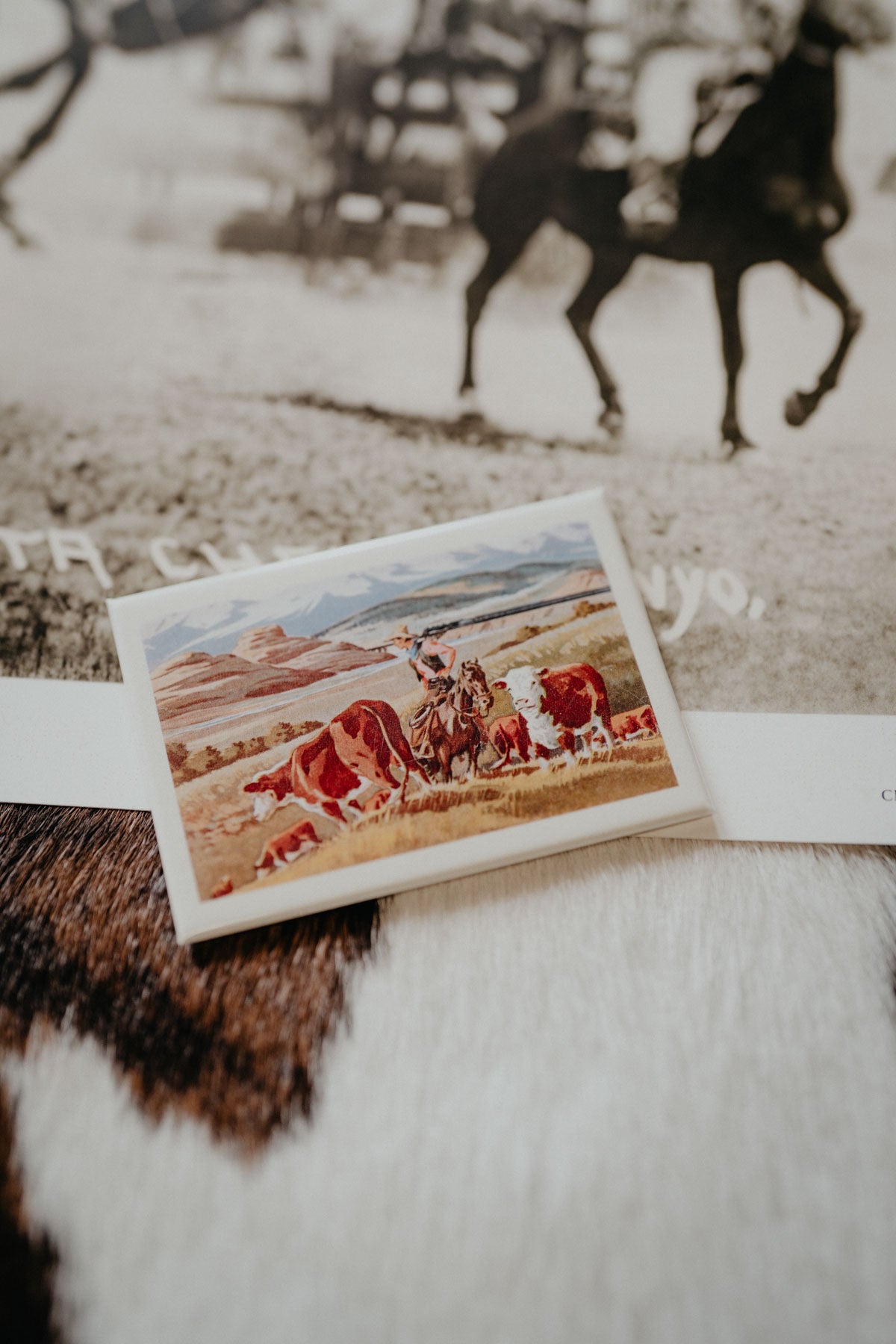 Vintage Western Magnets (Various Prints)