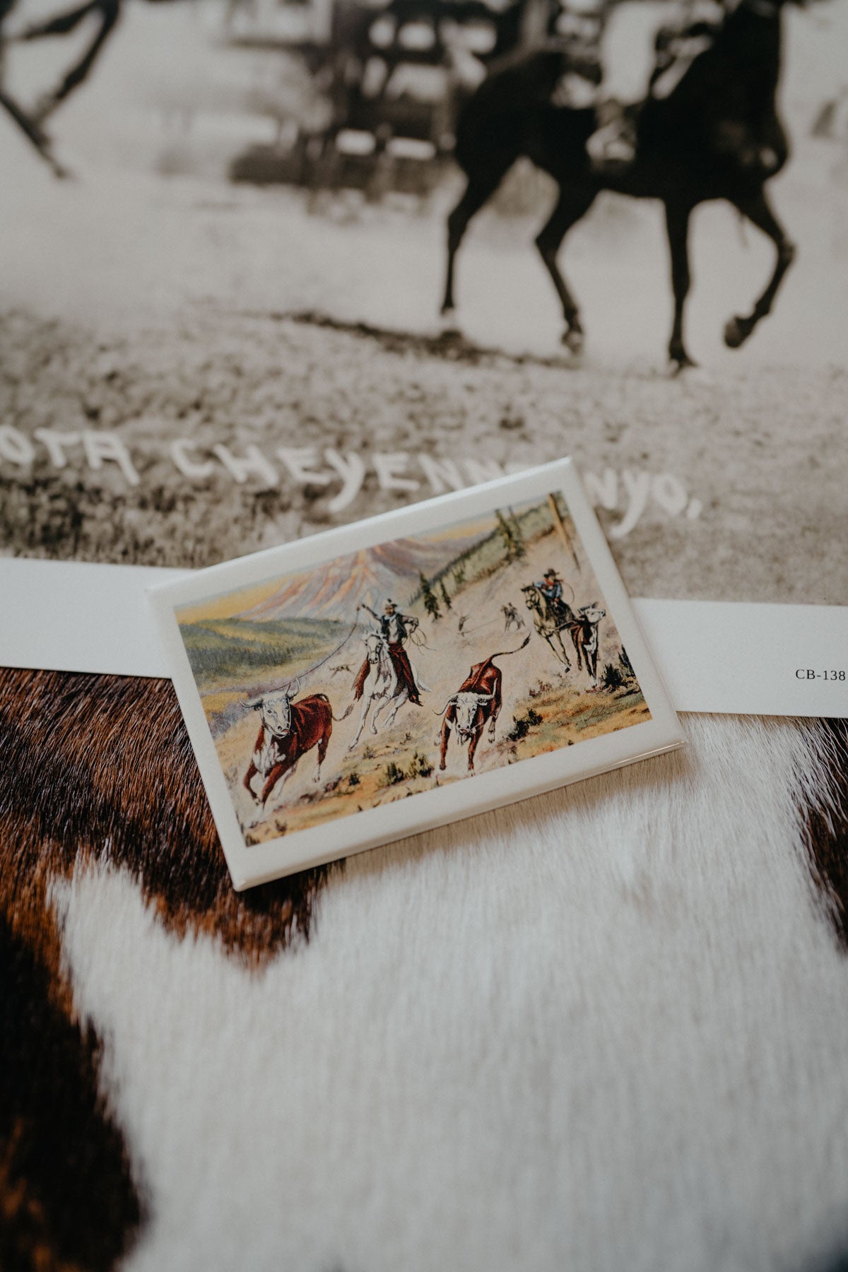 Vintage Western Magnets (Various Prints)