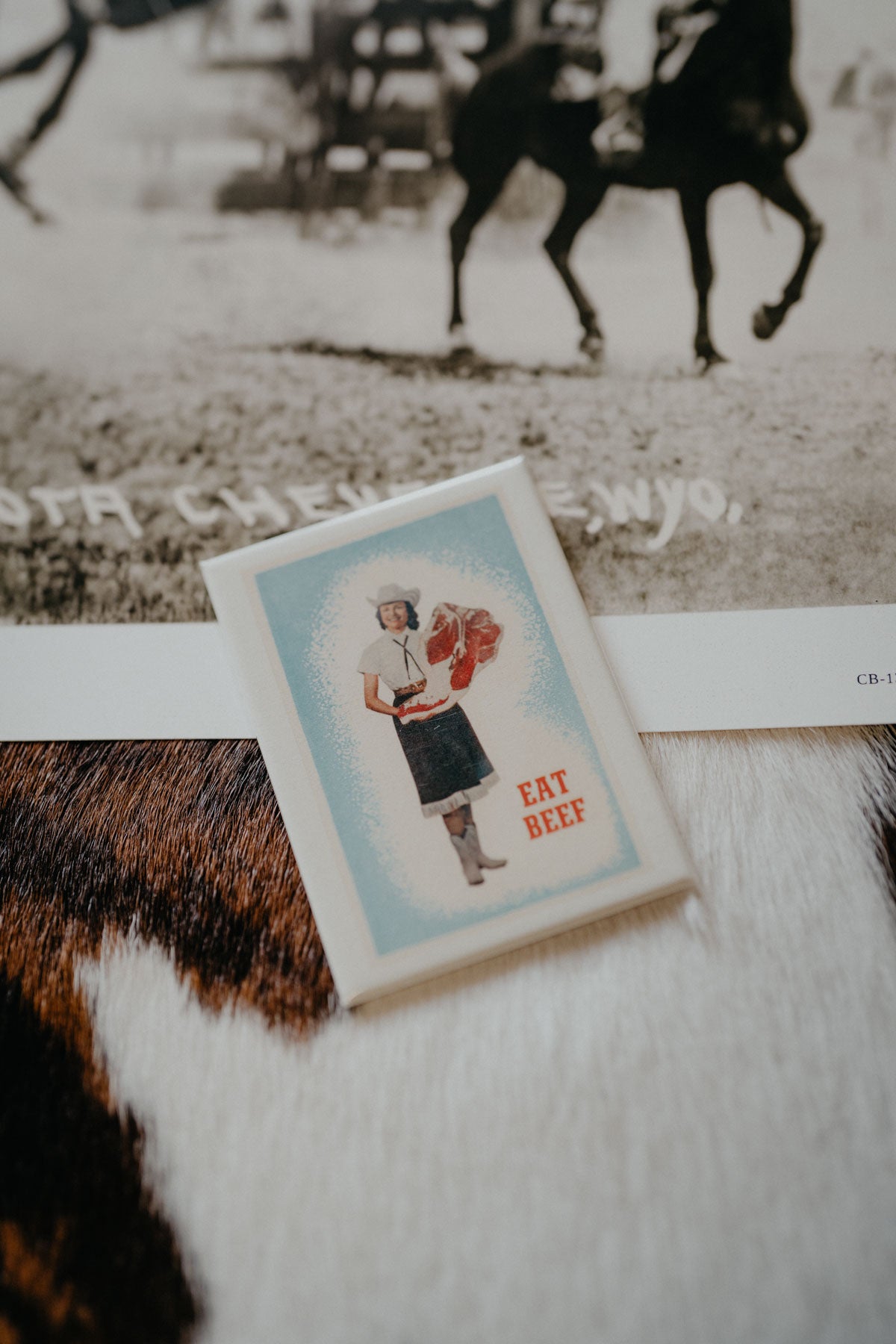 Vintage Western Magnets (Various Prints)