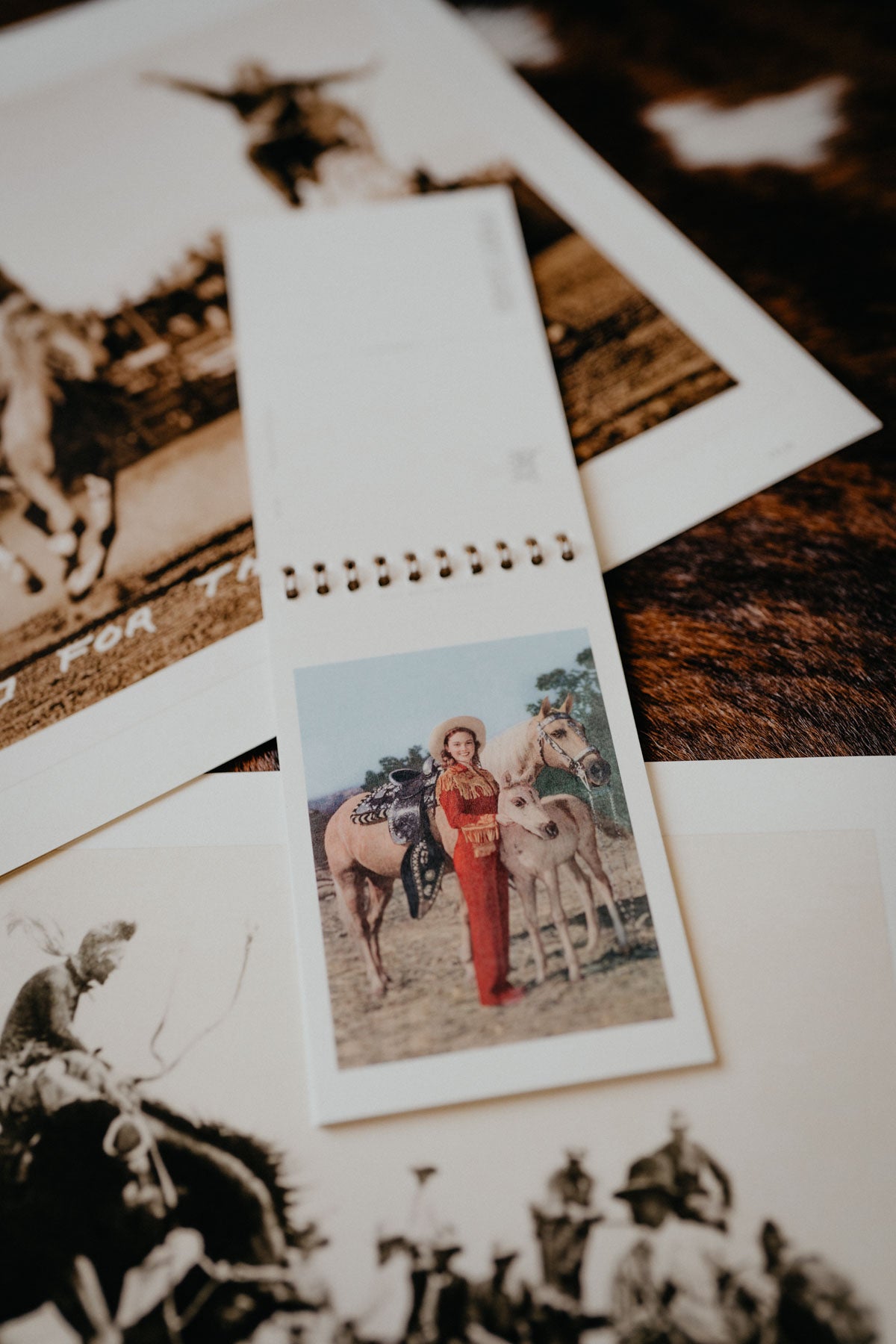 Vintage Western Postcard Booklets (4 Print Options)