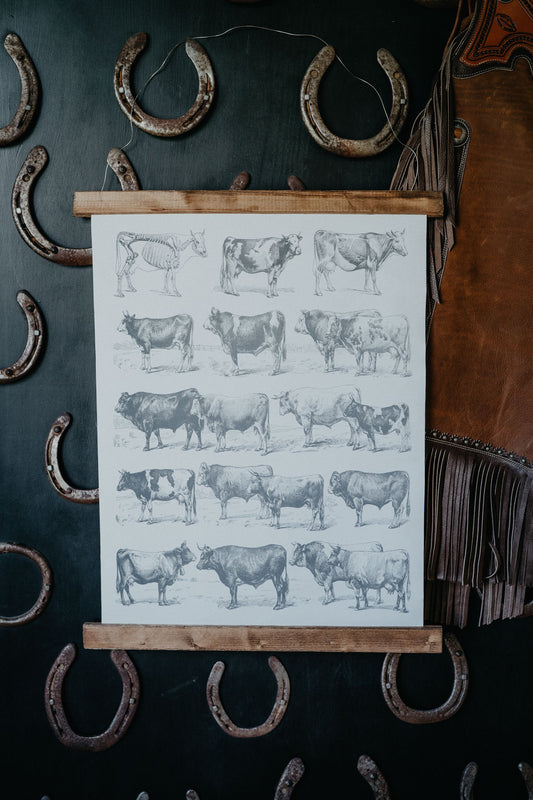 Beef Breeds Hanging Canvas Poster