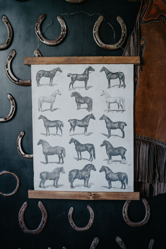Vintage Horse Hanging Poster