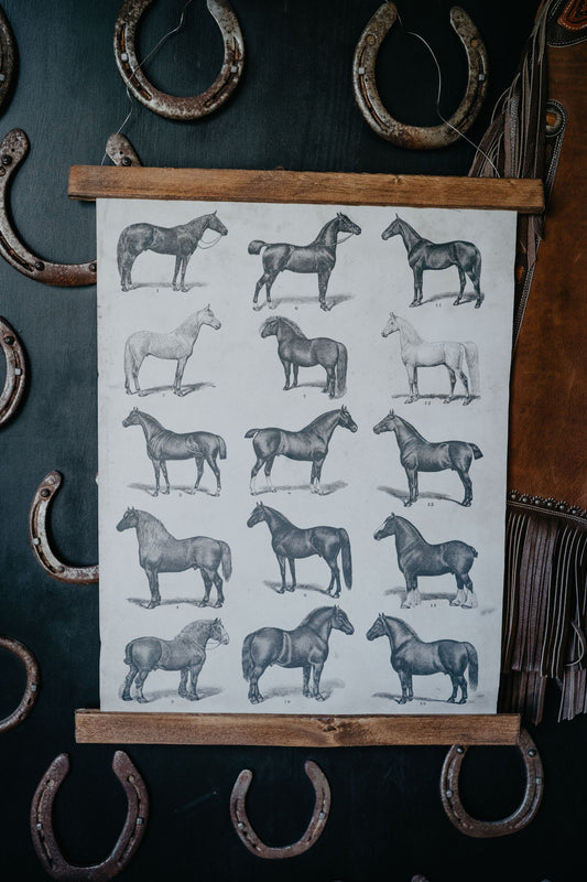 Vintage Horse Hanging Poster