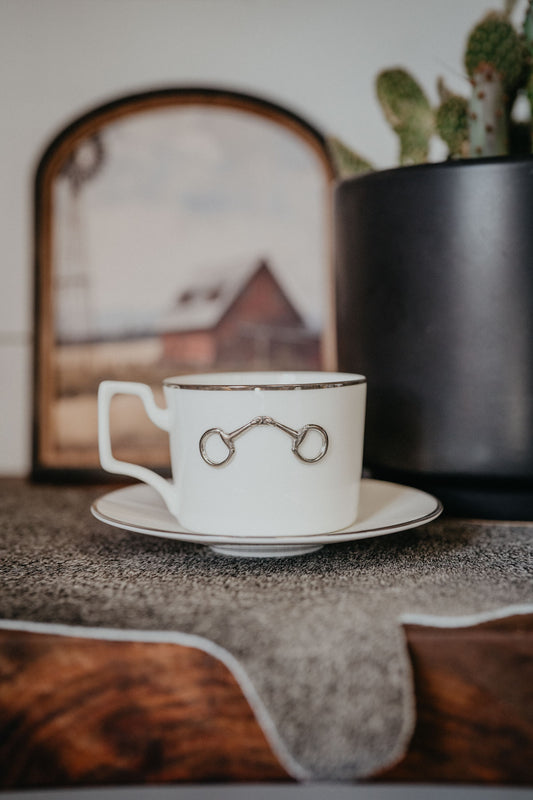 Pewter Bit Bone China Cup & Saucer Platinum Rim