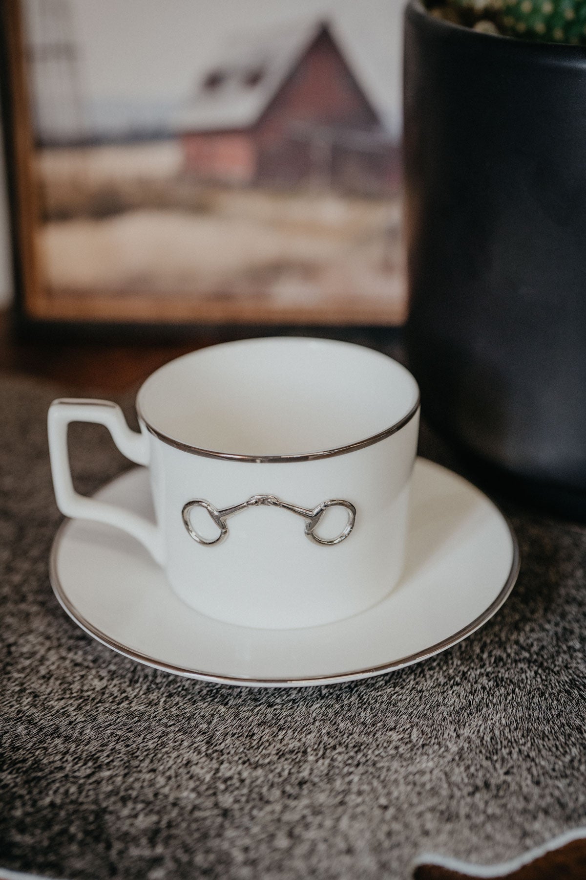 Pewter Bit Bone China Cup & Saucer Platinum Rim