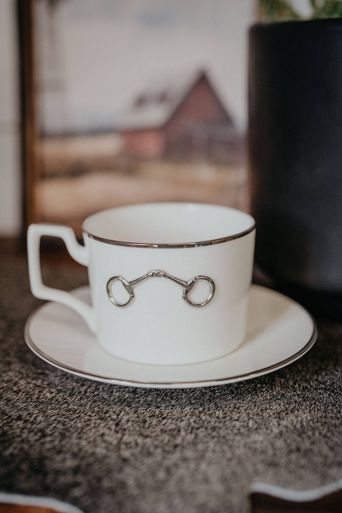 Pewter Bit Bone China Cup & Saucer Platinum Rim
