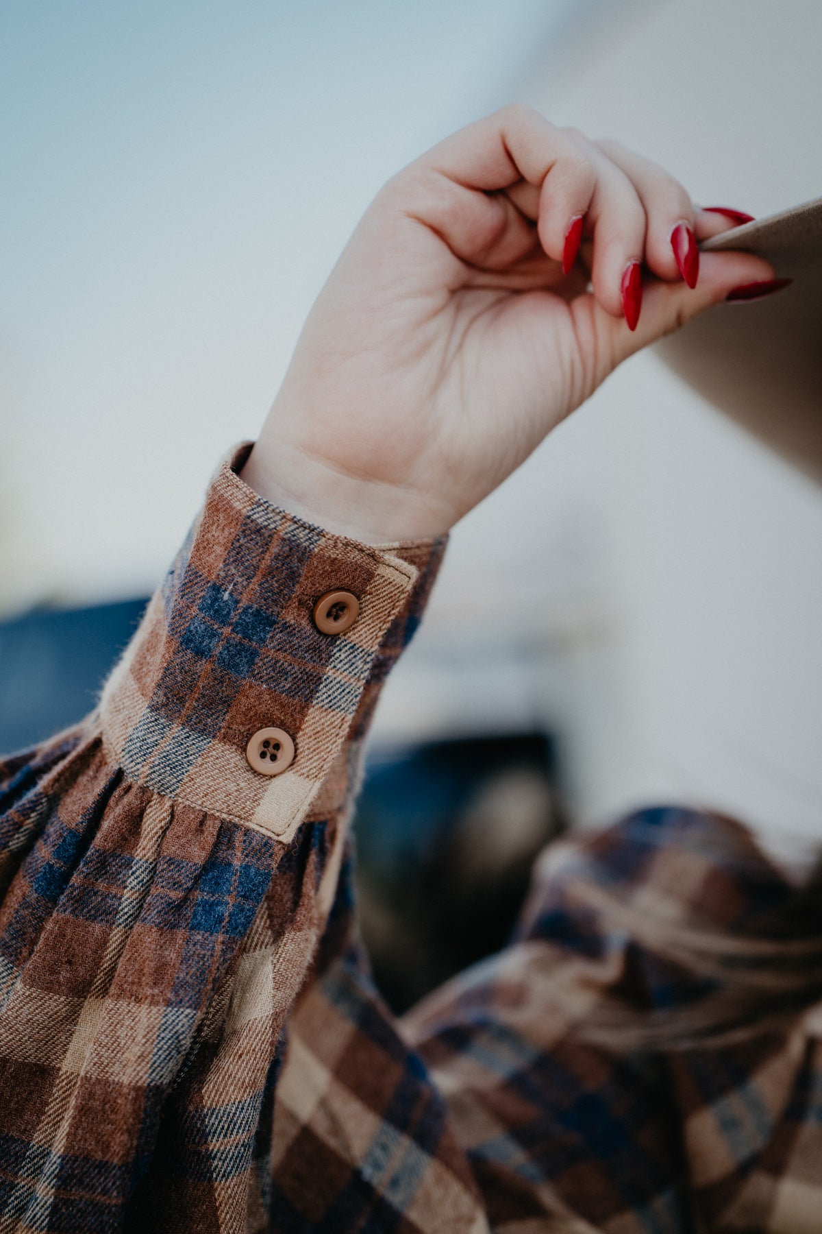 'Greta' Horse Embroidered Plaid Button Up Blouse