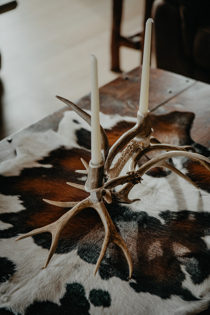 #88 Authentic Candle White Tail Mule Deer Antler Candelabra