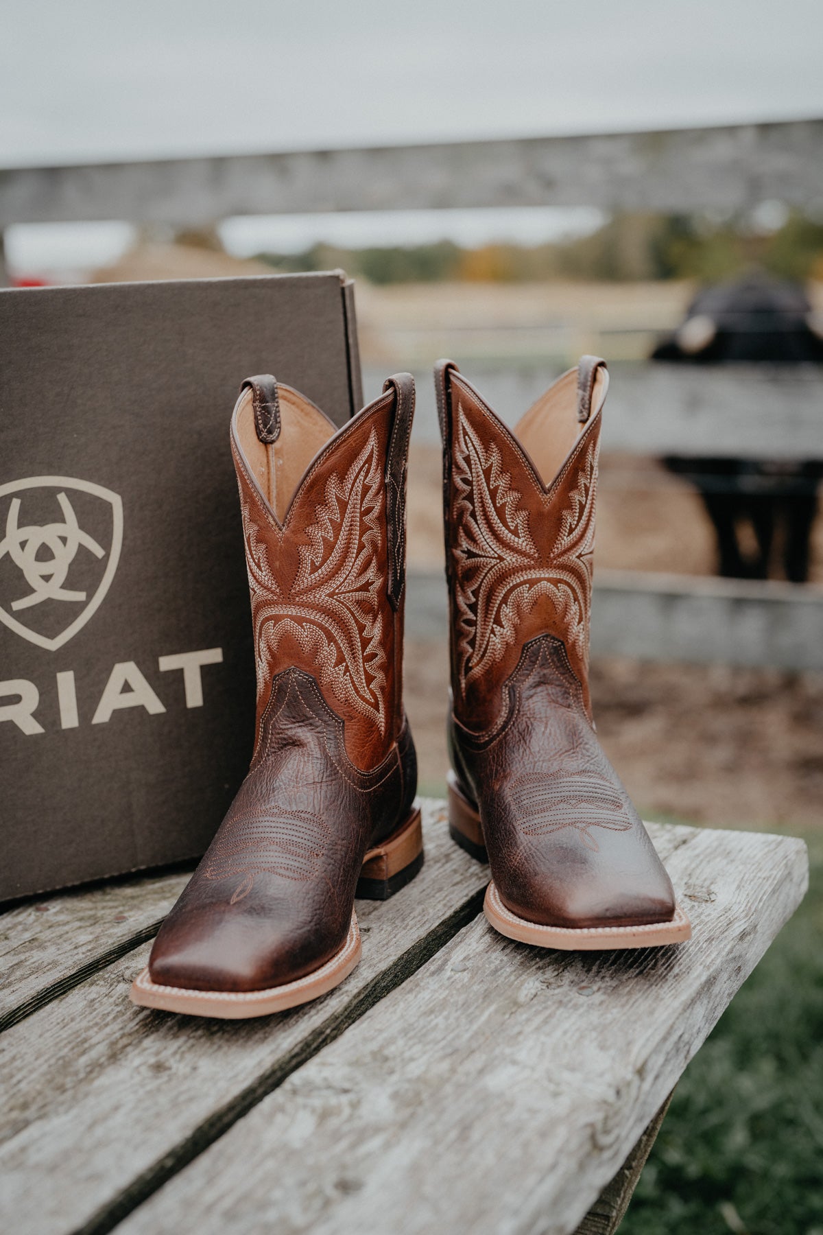'Walker' Mens Ariat Boot in Amber/Ranchwood