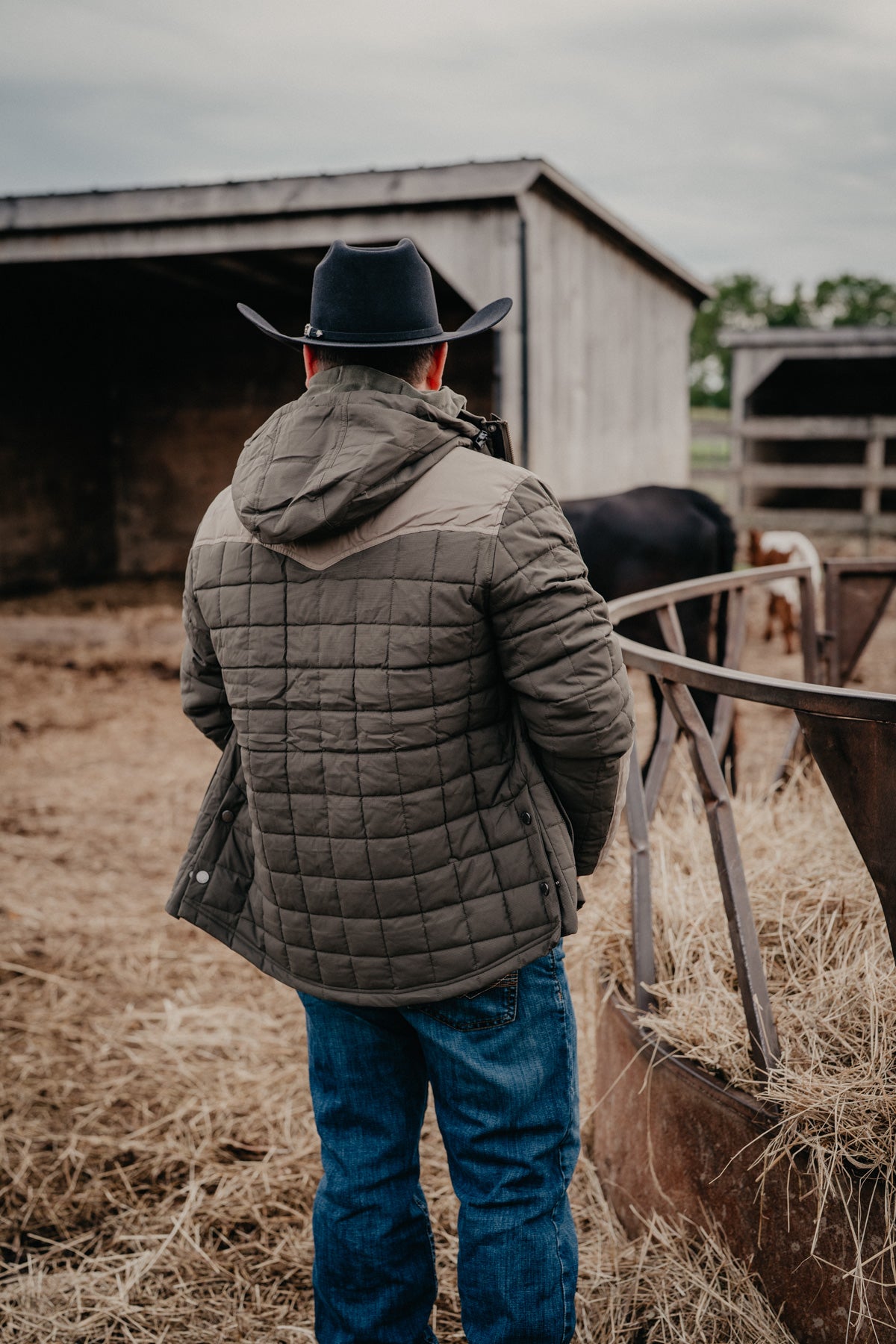 'Garret' CINCH Men's Green Quilted Jacket