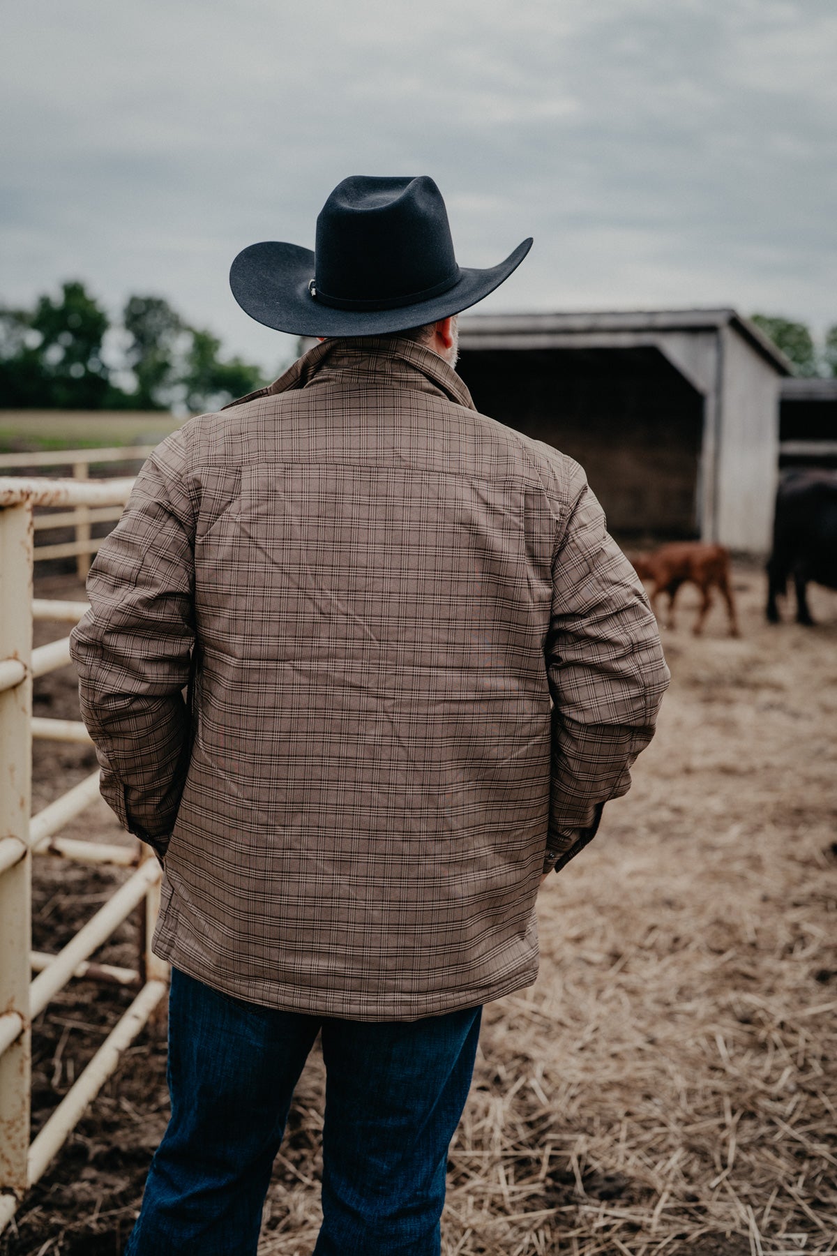 'James' CINCH Men's Brown Plaid Water Resistant Shirt Jacket