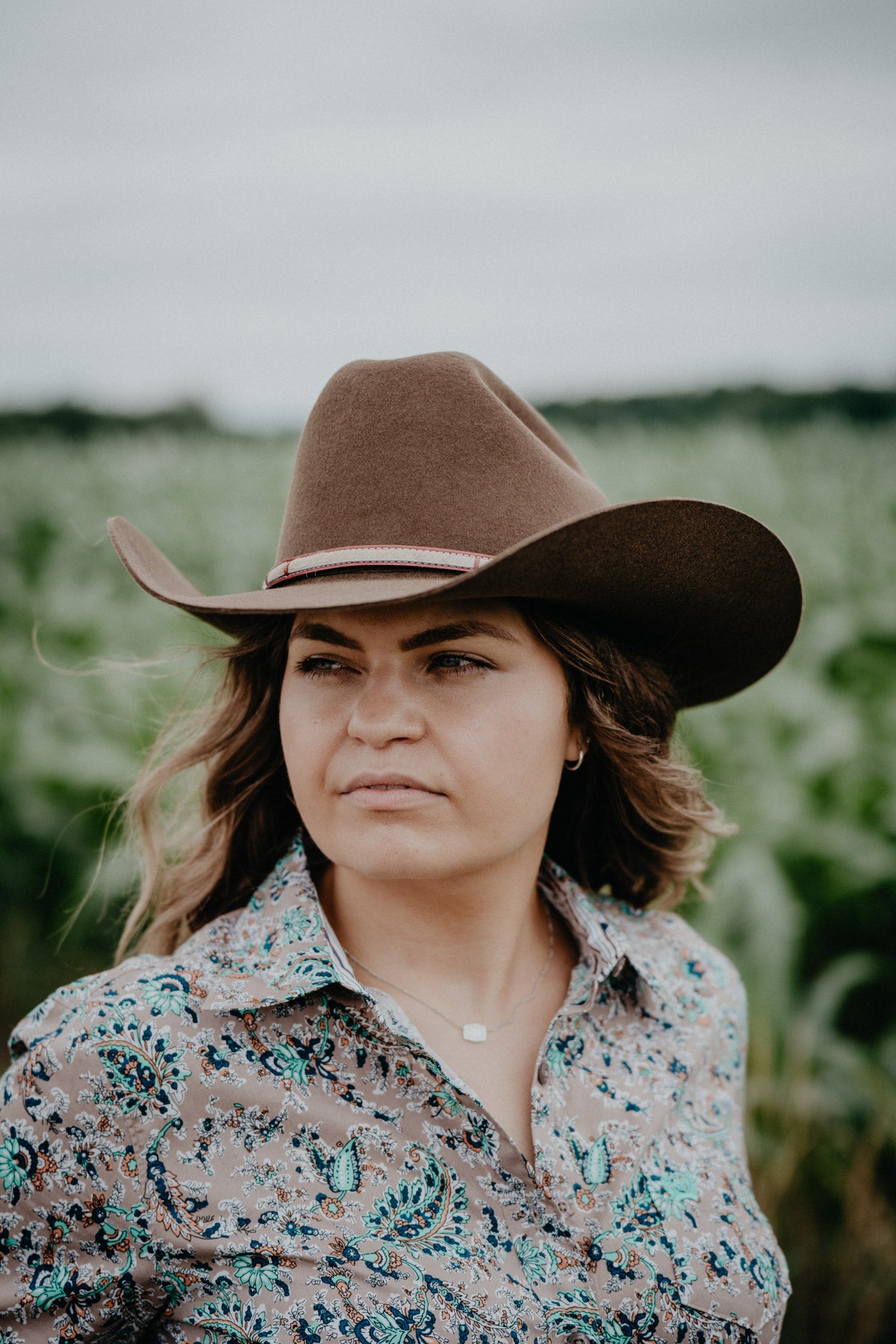 'Powder River' 4X Felt Cowboy Hat by Stetson (Mink)