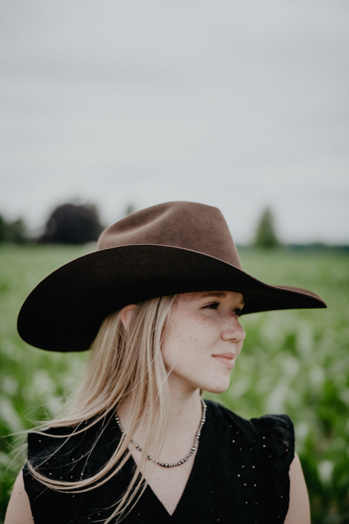 'Cedar Trail' 6X Felt Cowboy Hat by George Strait X Resistol (Chocolate)