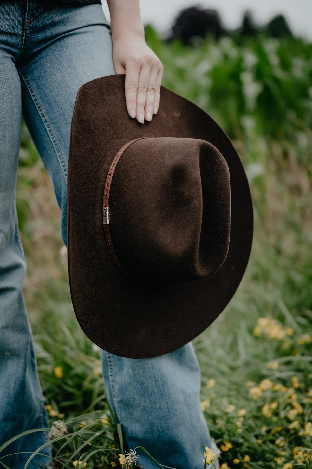 'Cedar Trail' 6X Felt Cowboy Hat by George Strait X Resistol (Chocolate)