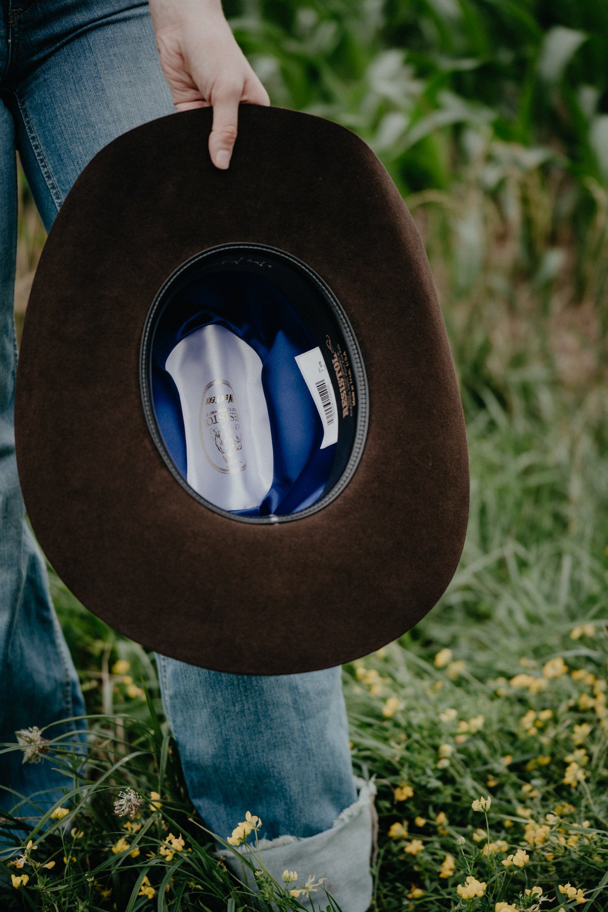 'Cedar Trail' 6X Felt Cowboy Hat by George Strait X Resistol (Chocolate)