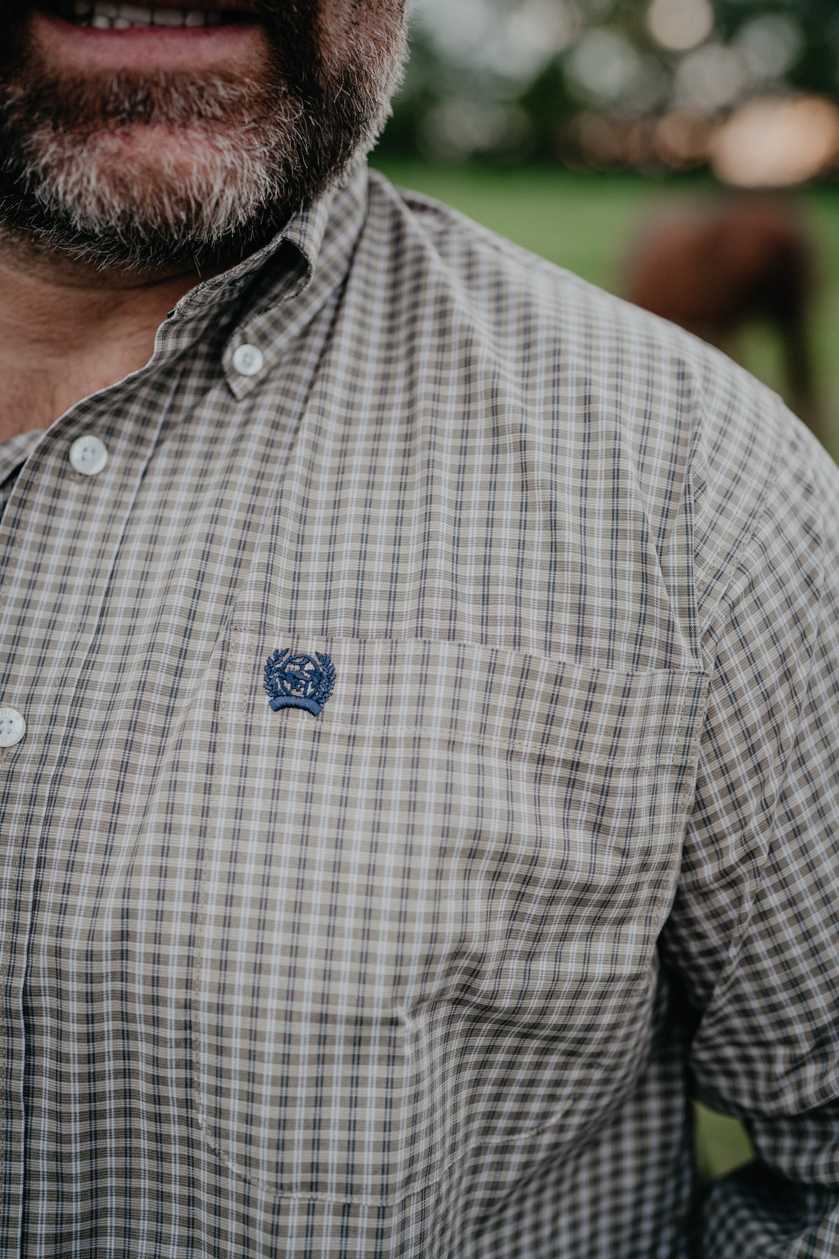 'Clyde' Olive Plaid Men's CINCH Classic Button Down