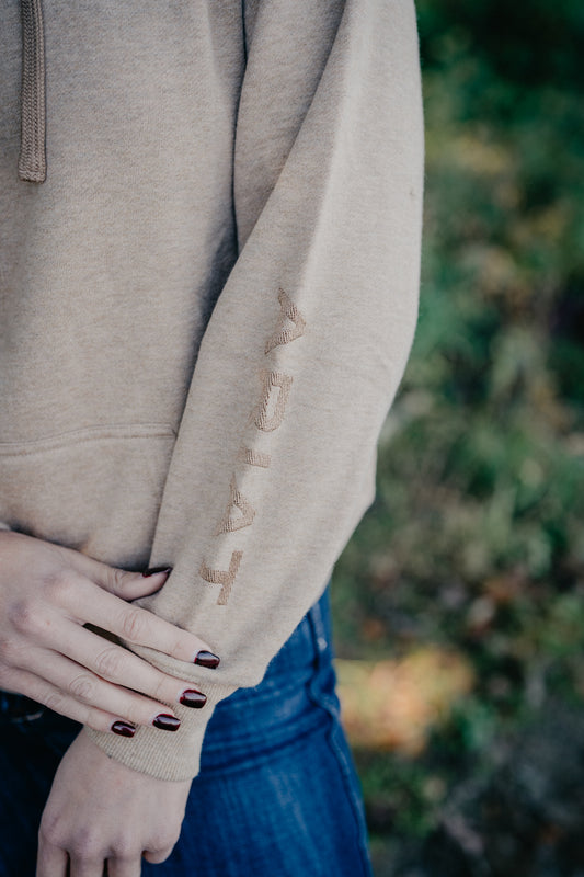 'Kahlua'  Ariat Khaki Women's Logo 2.0 Hoodie