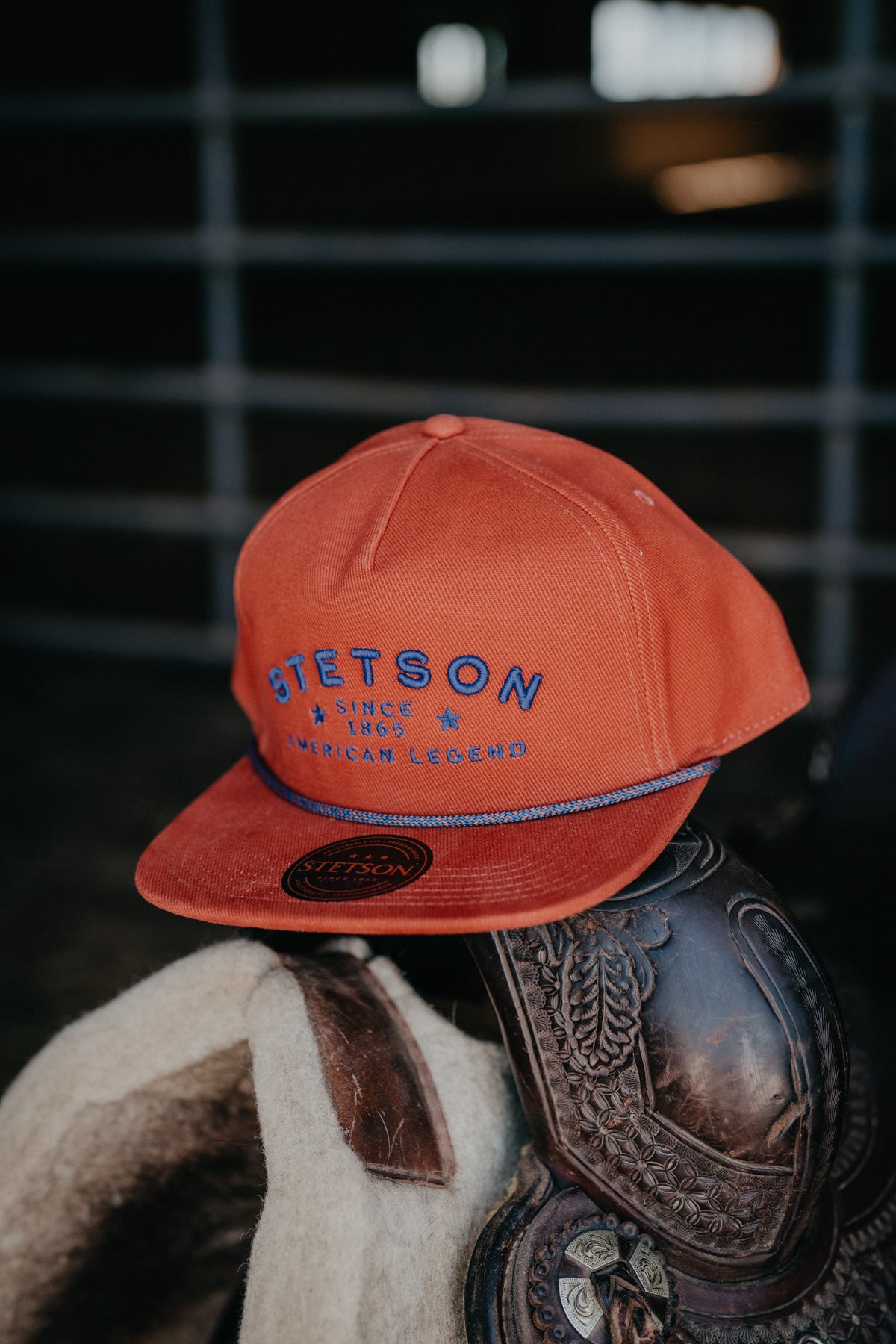 Stetson 3D American Legend Rust Ball Cap