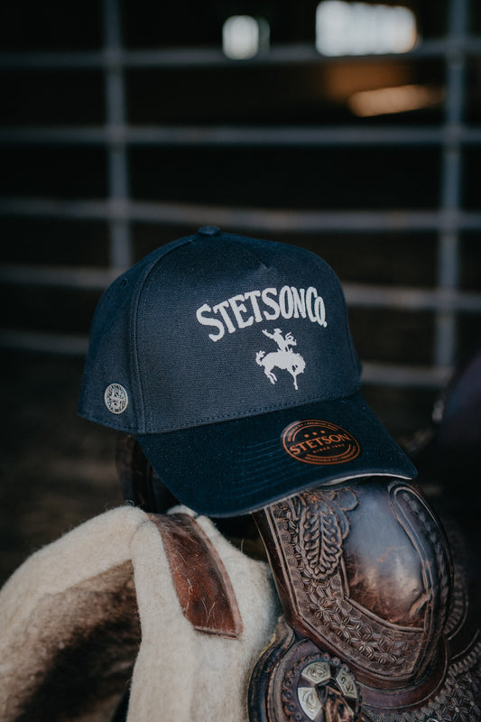 Stetson Co. Bronc Horse Ball Cap (2 Colours)