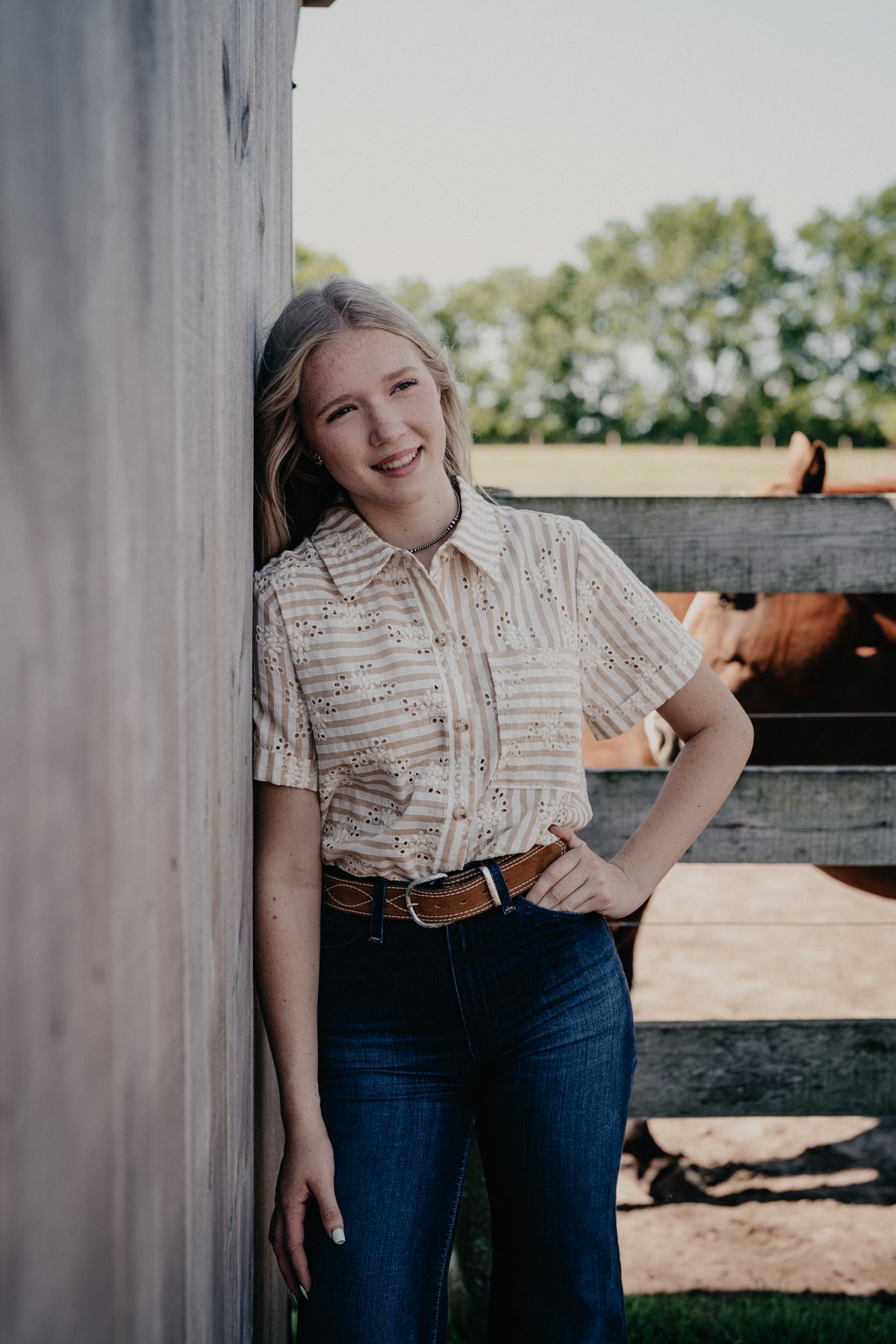 'Cheyanne' Tan Pin Stripe Eyelet Embroidered Top