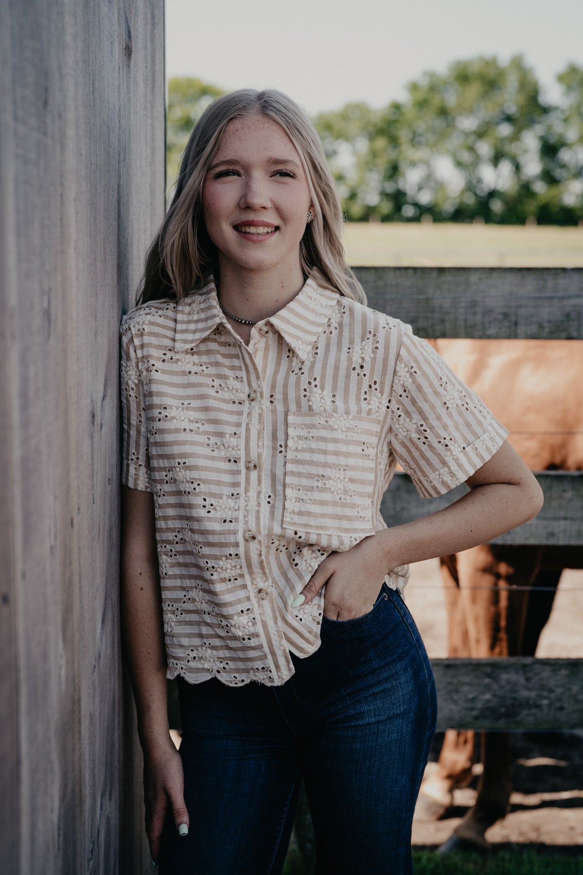 'Cheyanne' Tan Pin Stripe Eyelet Embroidered Top