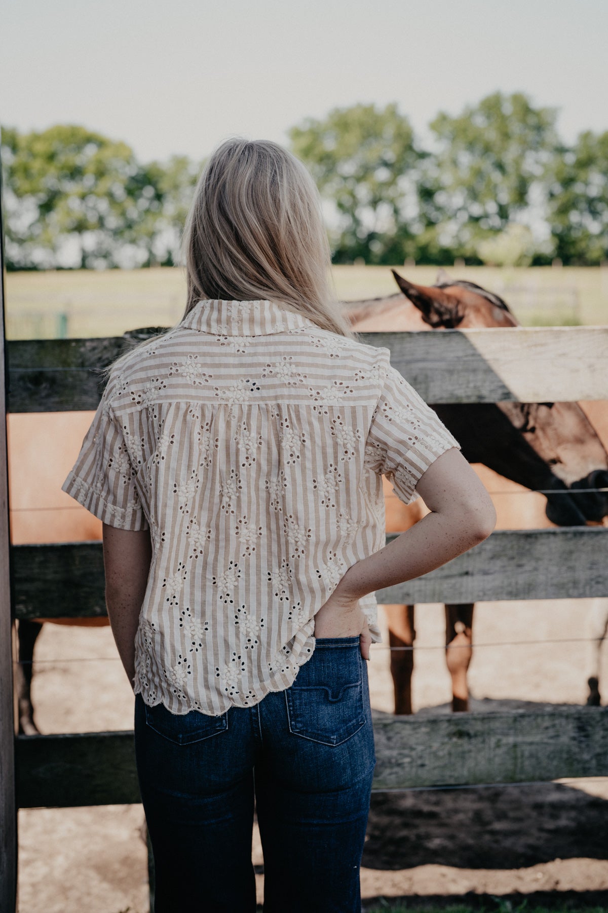 'Cheyanne' Tan Pin Stripe Eyelet Embroidered Top
