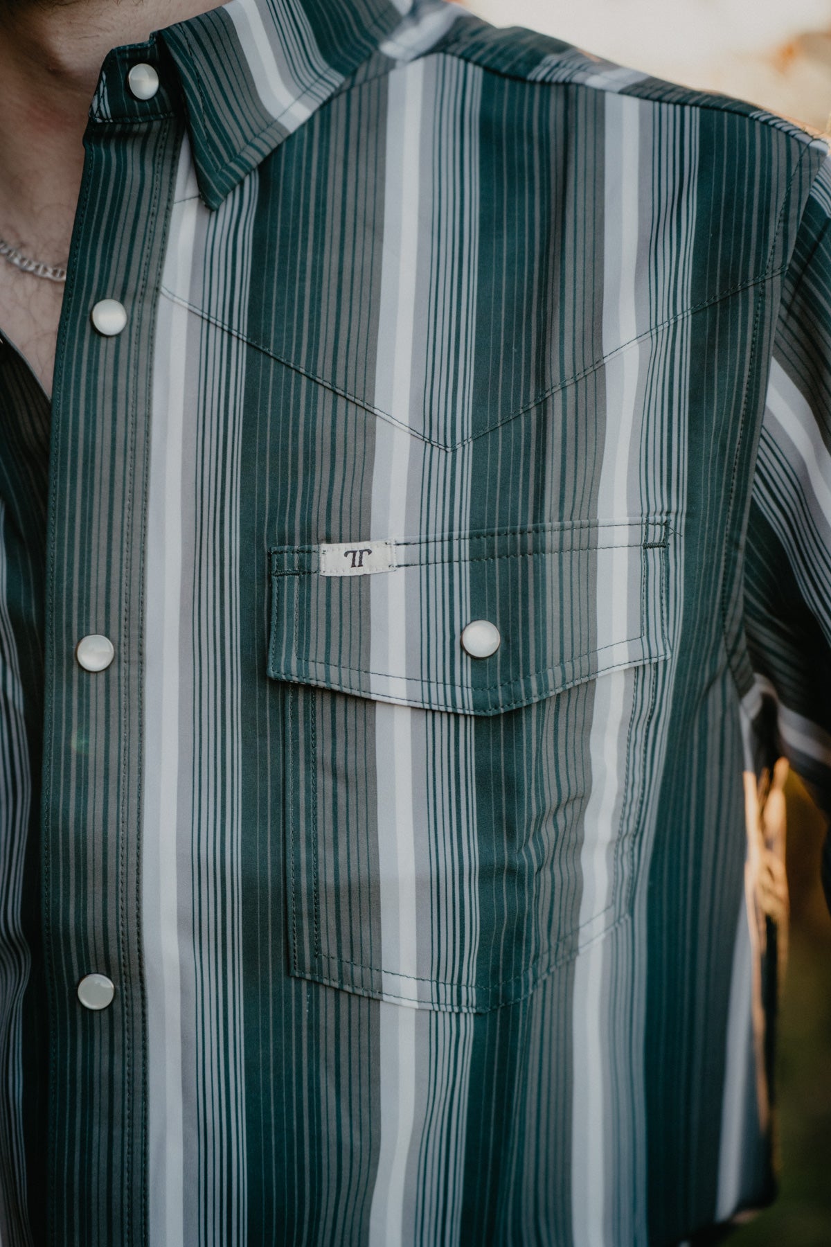 'Tristan' Men's Long Sleeve Green, Grey & White Pin Stripe Pearl Snap by Ferrell