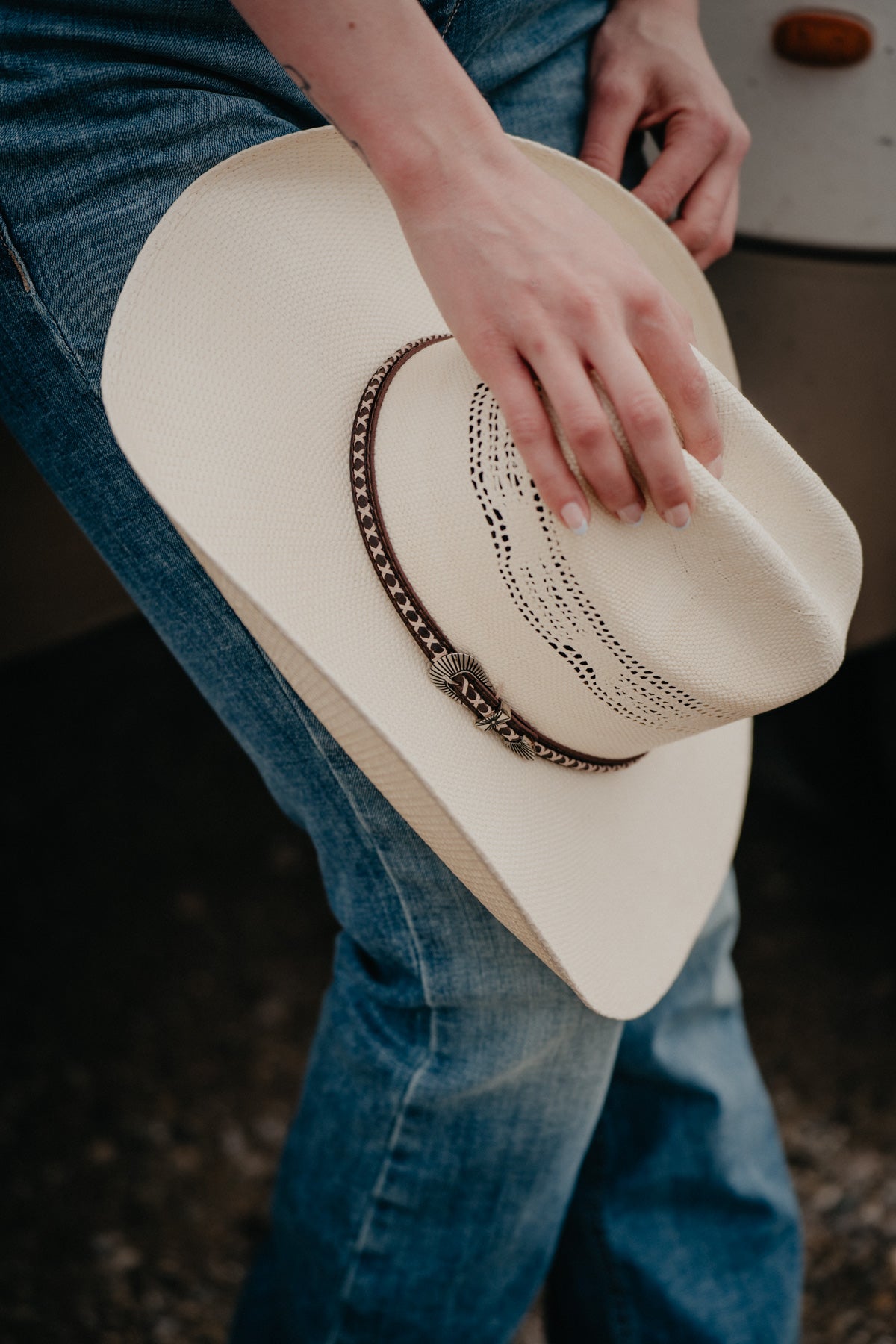 Elmhurst Straw Cowboy Hat by Stetson