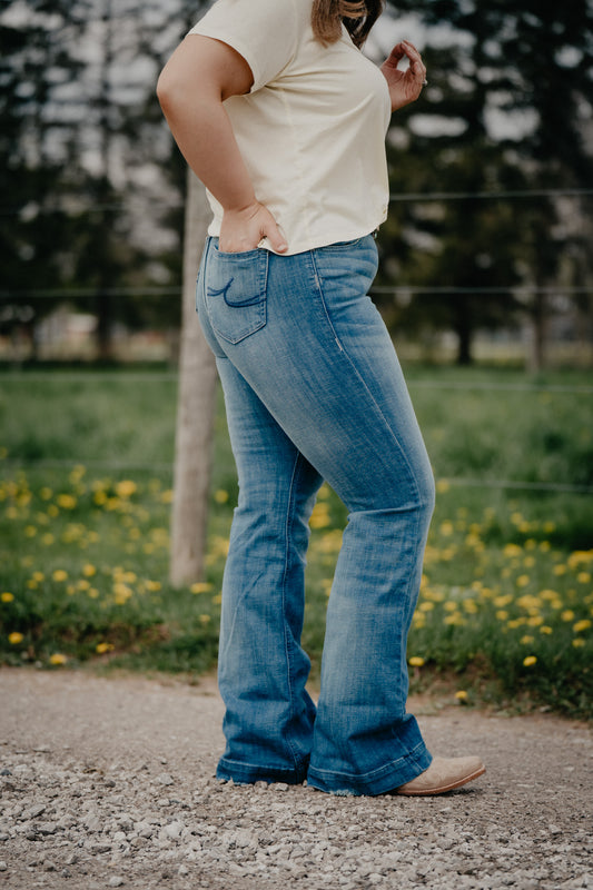 'Harriet' High Rise Slim Trouser Jean by Ariat (Sizes 24-34)