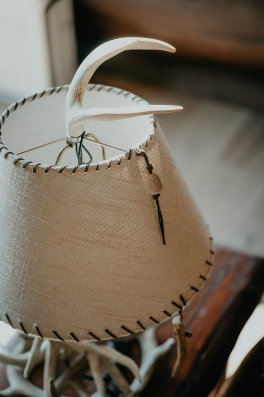 Authentic White-tailed Deer Antler Table Lamp