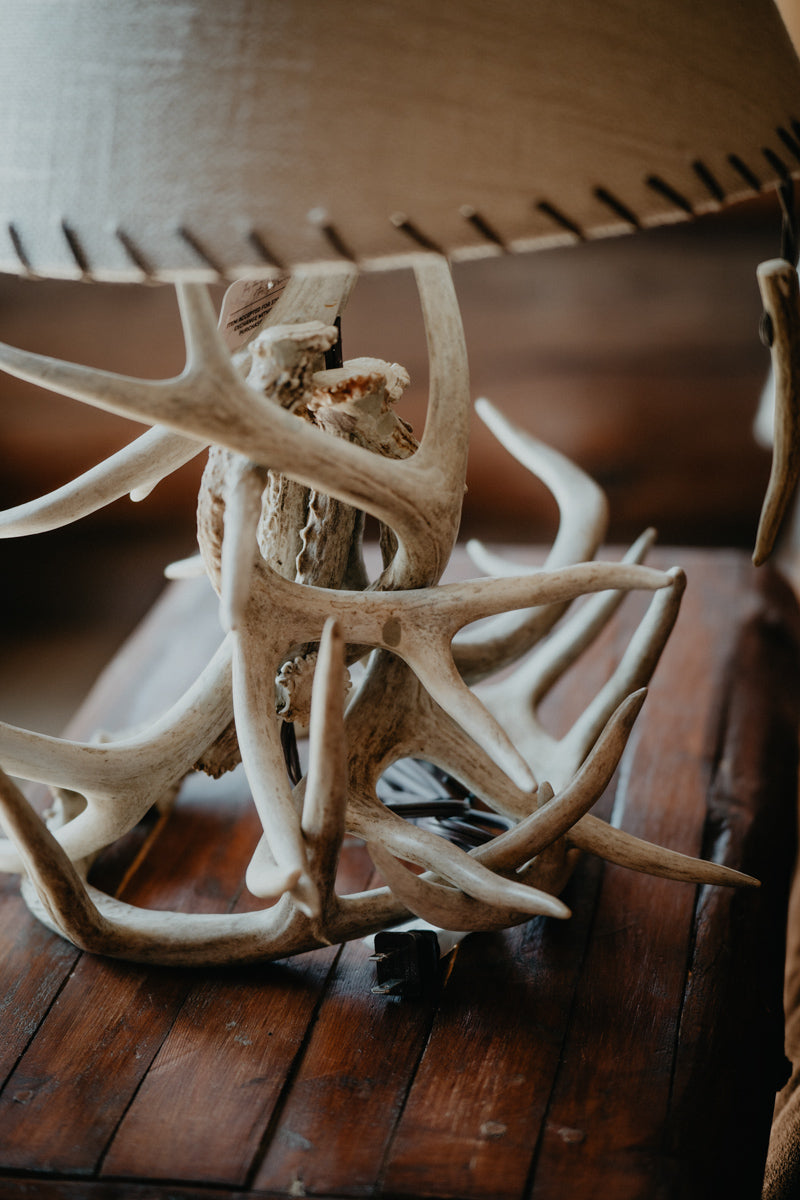 Authentic White-tailed Deer Antler Table Lamp