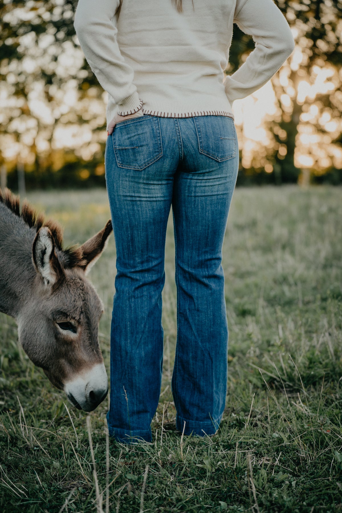 'Bessie' Perfect Rise Slim Trouser Jean by Ariat (Sizes 24-24W Extended)