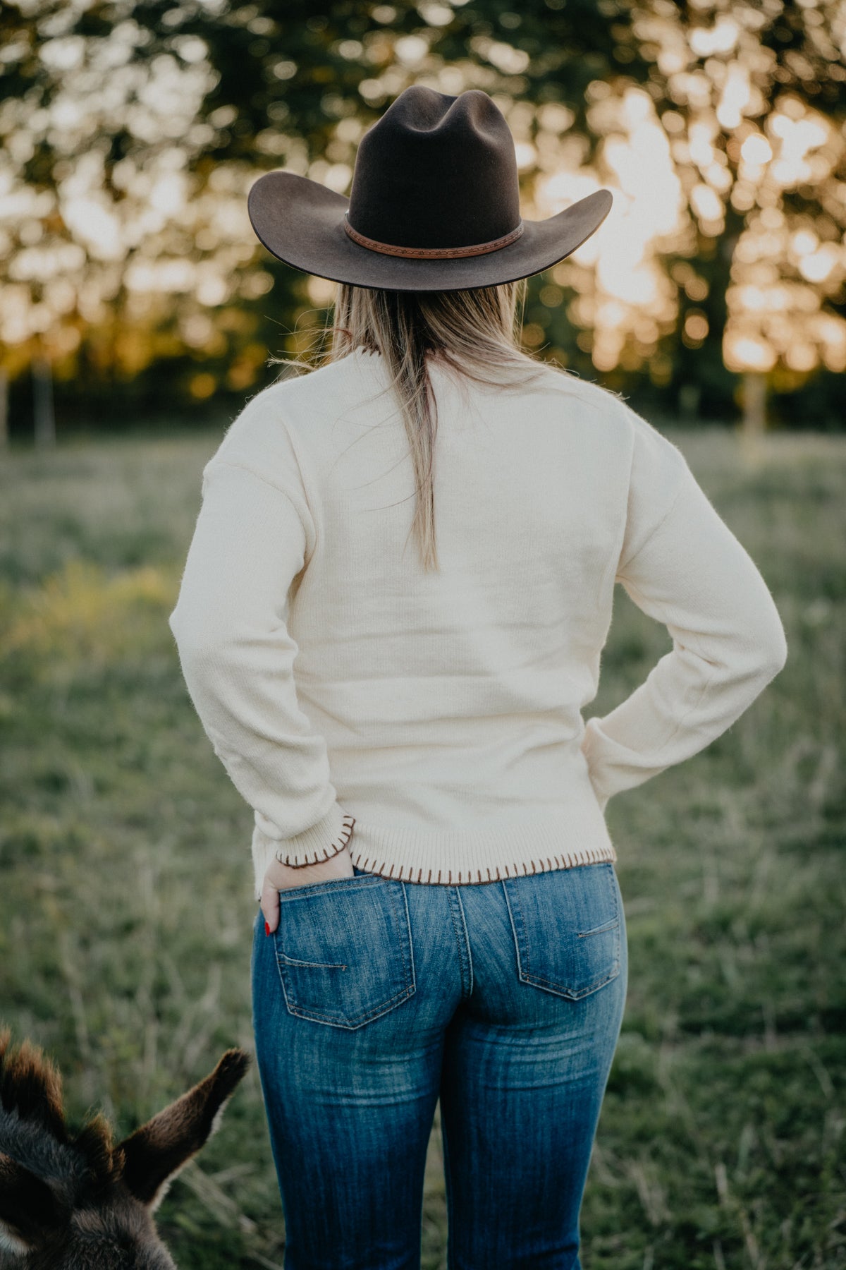 'Jordan' Horseshoe Embroidered Cream Sweater (S - L)