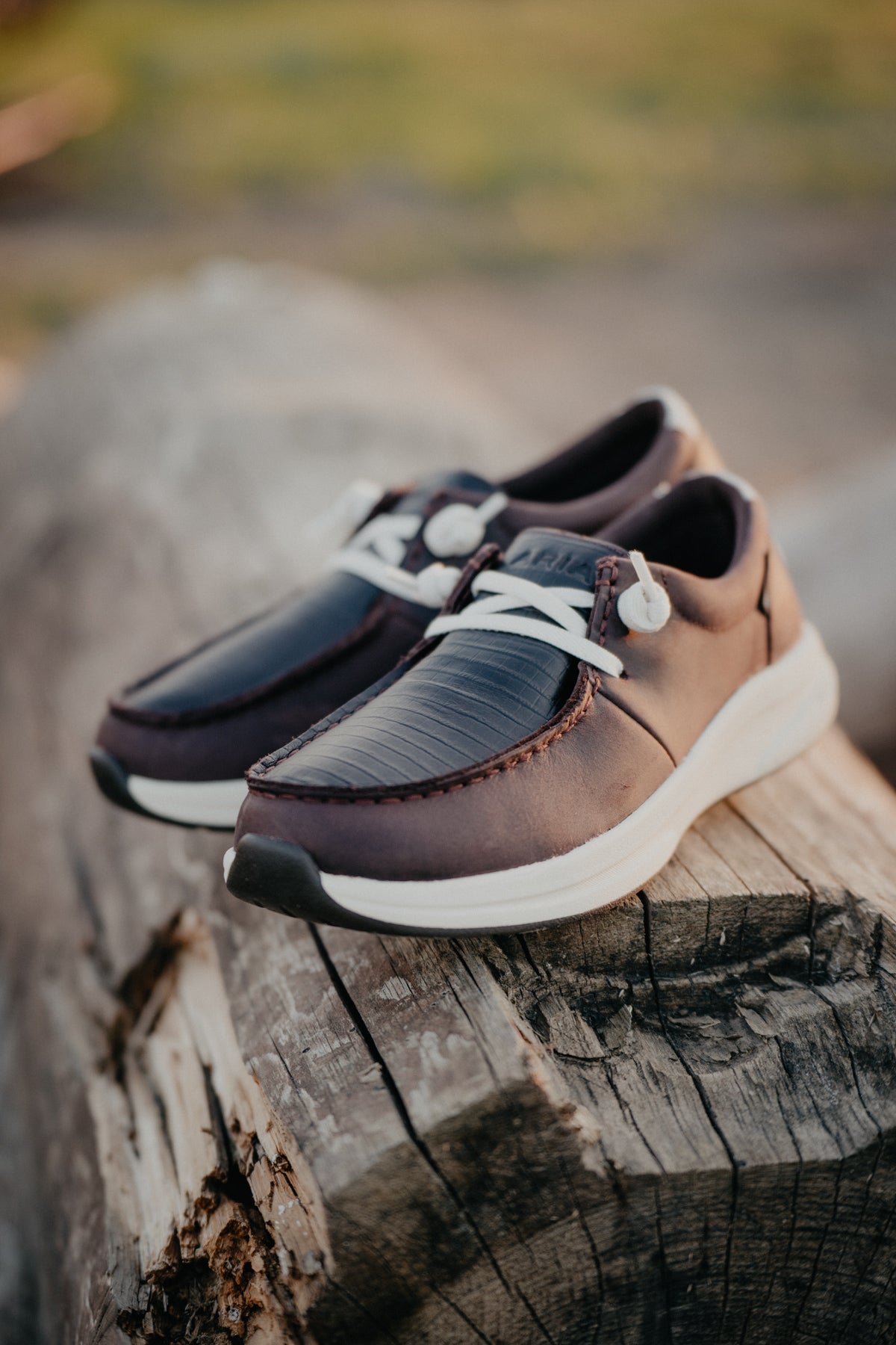 'Buckeye' Women's Ariat Casual Shoe {Sizes 6-10}