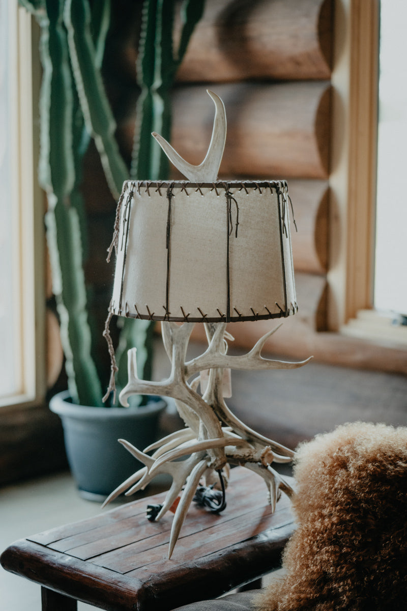 Authentic Mule Deer Antler Table Lamp