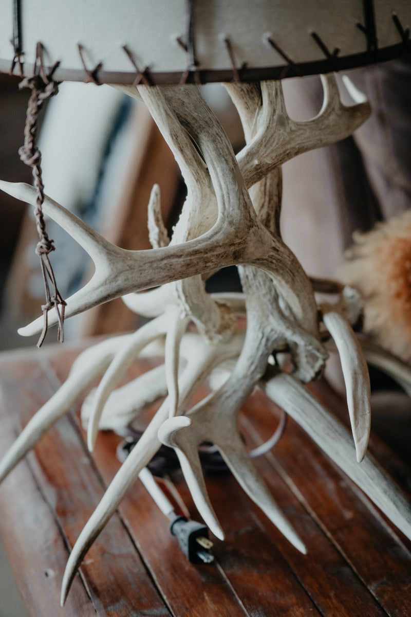 Authentic Mule Deer Antler Table Lamp