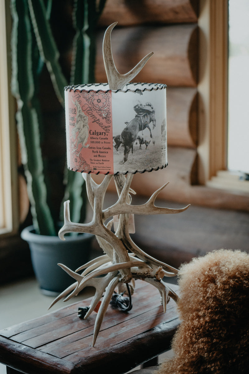 Lampshade 'Calgary Stampede'  - 11 Inches