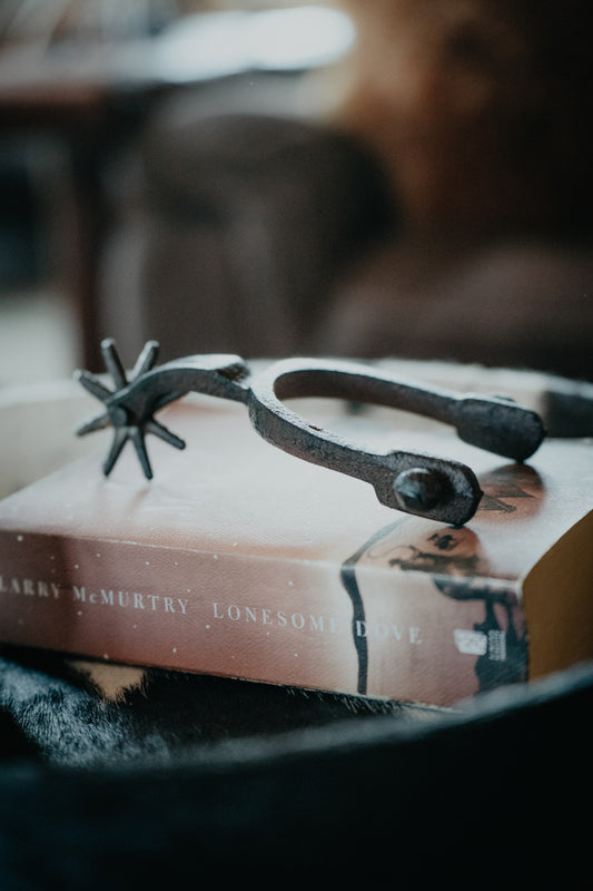 Cast Iron Spur Decor Accent
