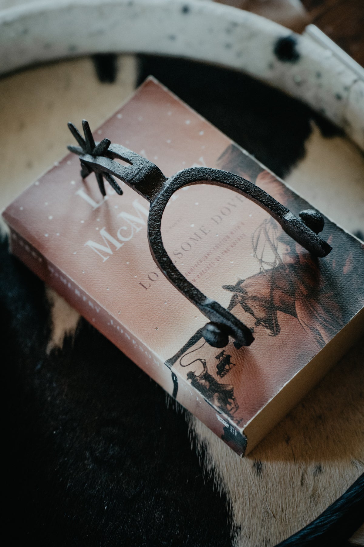 Cast Iron Spur Decor Accent