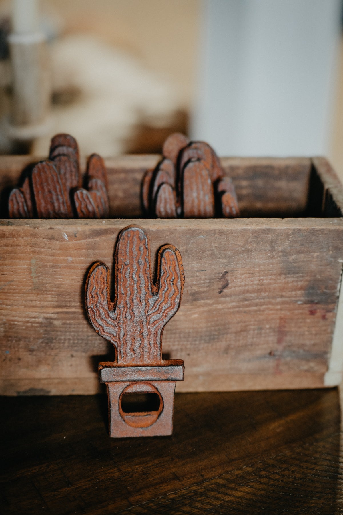 Cactus Bottle Opener