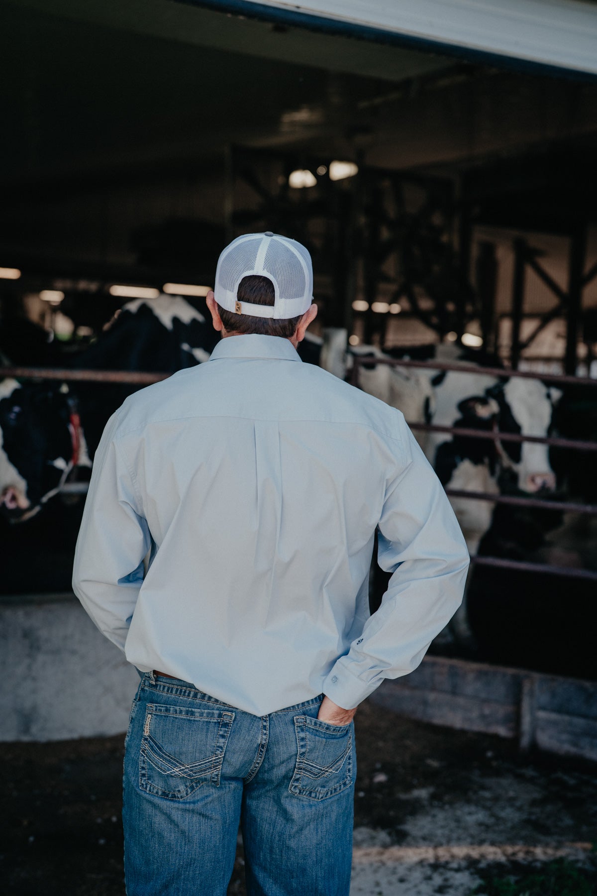 'Cam' Men's Solid Light Blue Classic CINCH Button Down