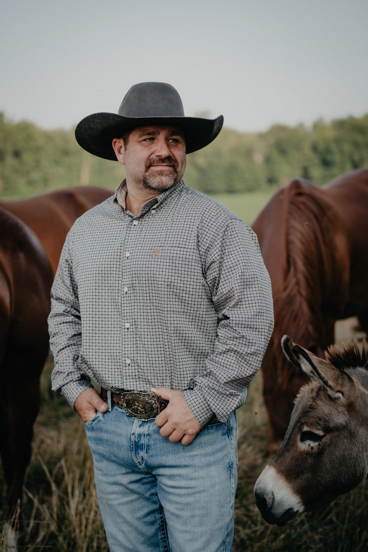 'Robert' Gold & Black Long Sleeve CINCH Button Down (M-XXL)
