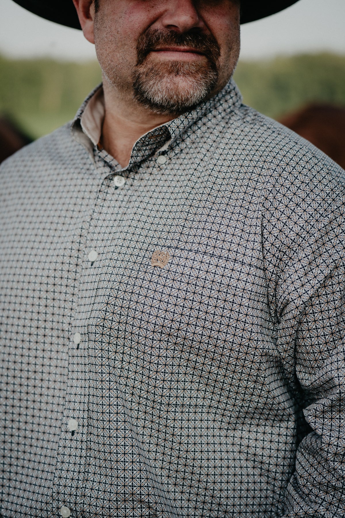 'Robert' Gold & Black Long Sleeve CINCH Button Down (M-XXL)