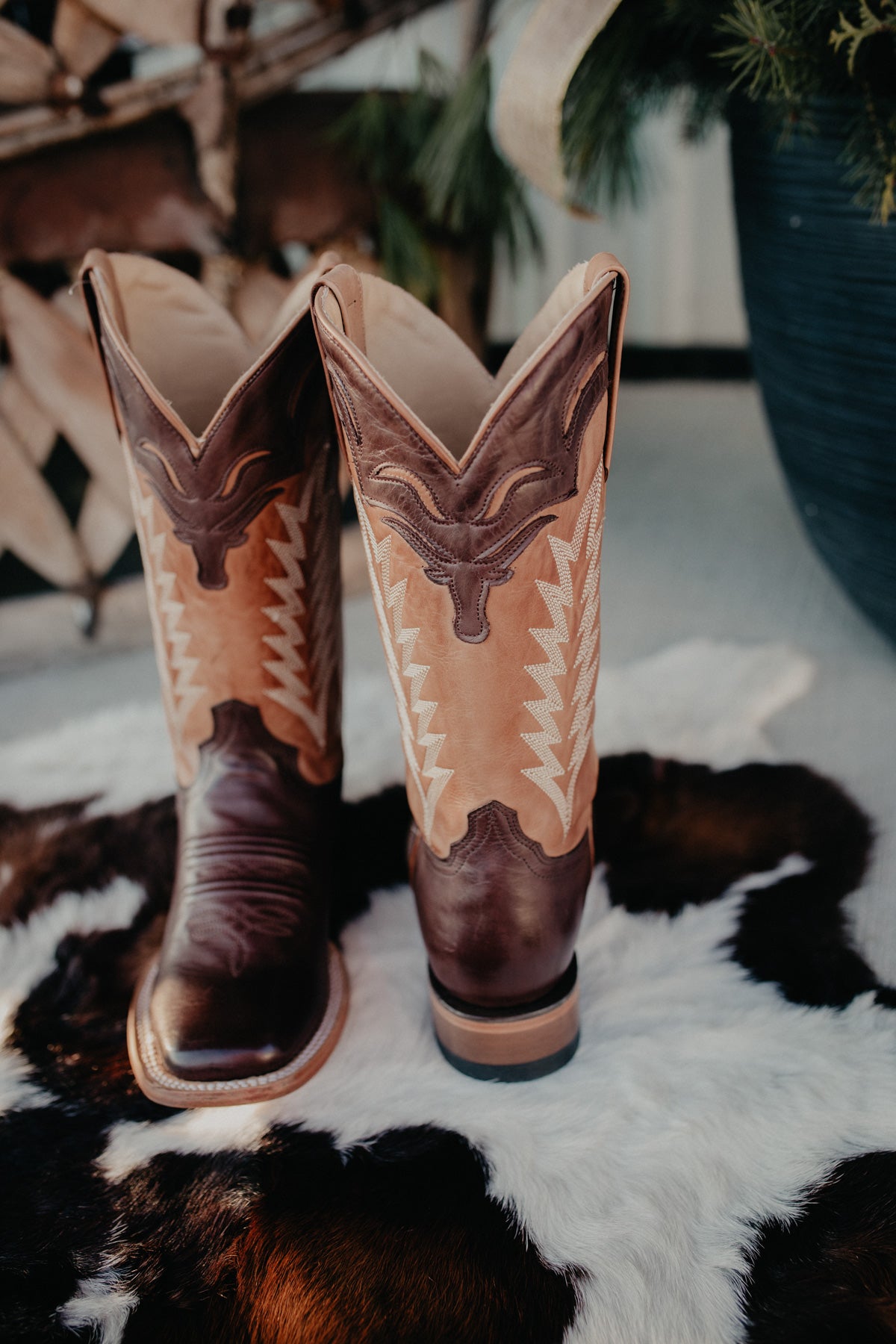 'Marion' Stetson Longhorn Wide Square Toe Cowboy Boot