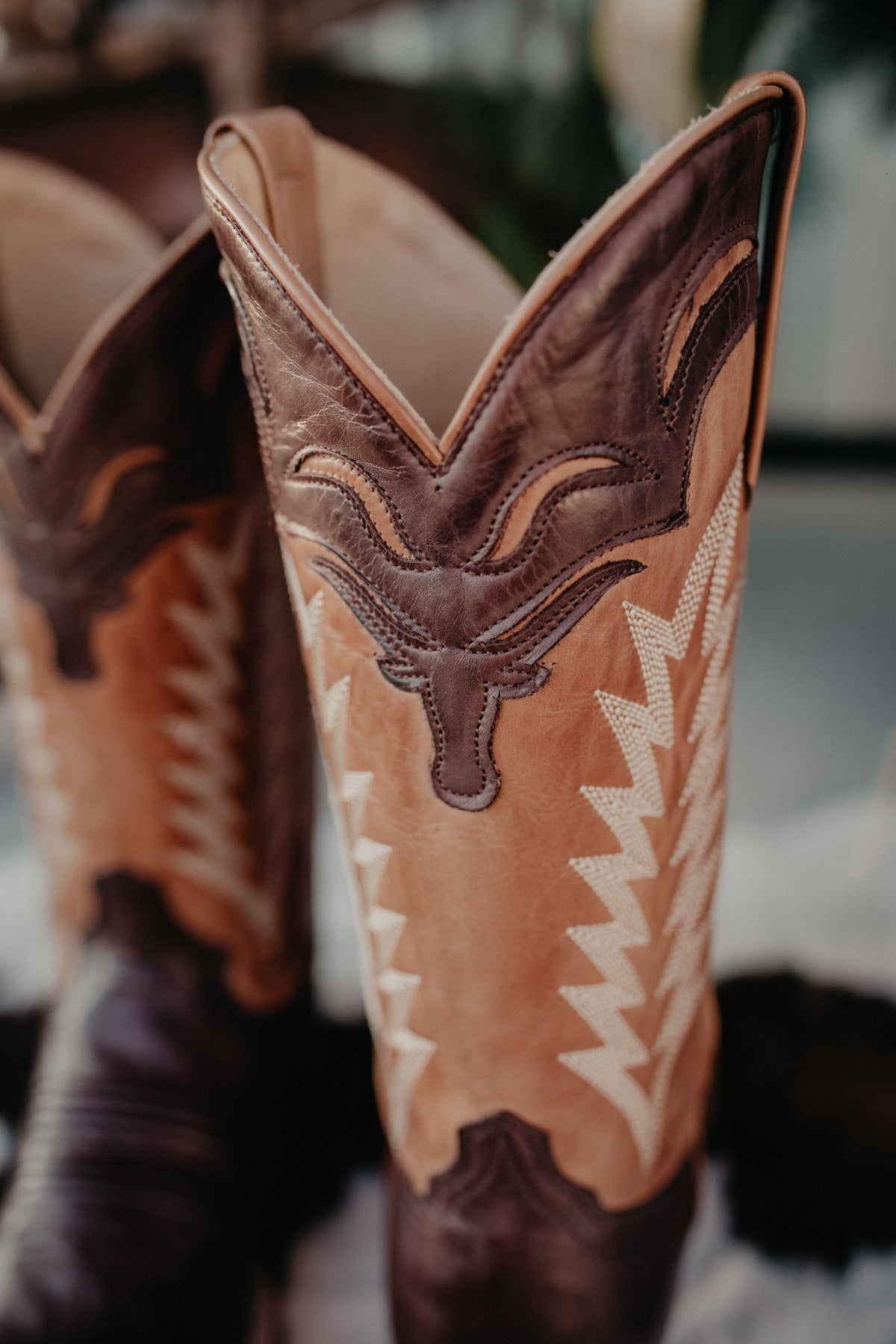 'Marion' Stetson Longhorn Wide Square Toe Cowboy Boot