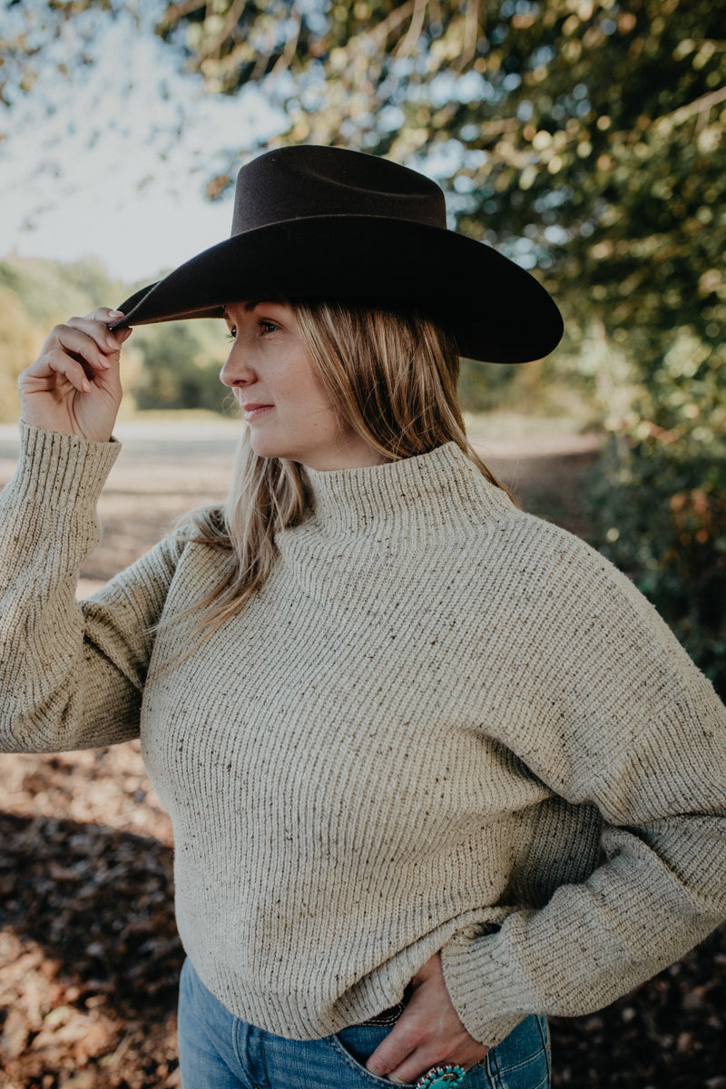 'Evolet' Heathered Oatmeal Mock Neck Sweater (XS-L)