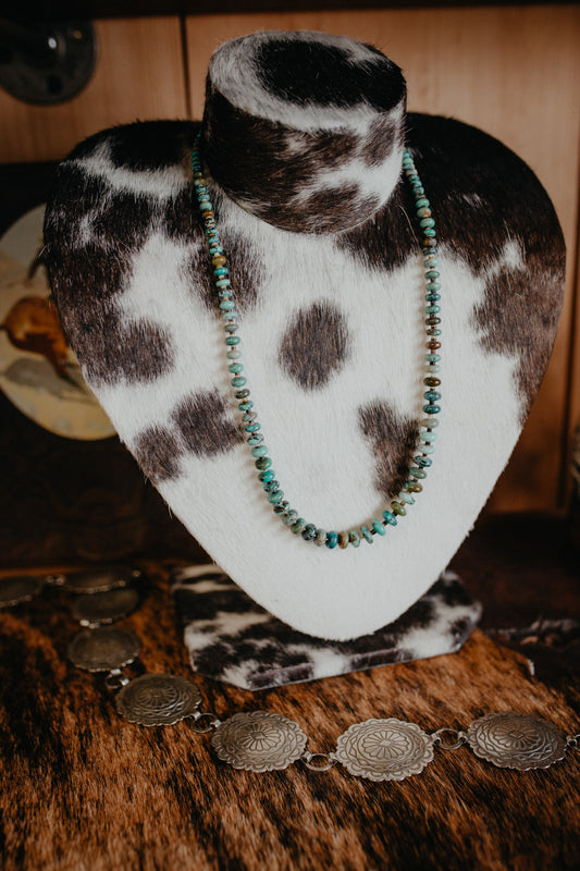 22" Polished Turquoise Rondelle and Shell Necklace