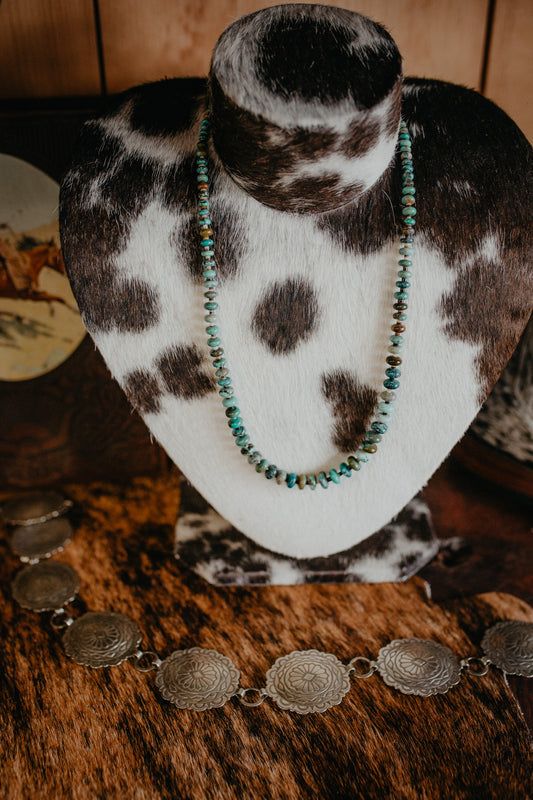 22" Polished Turquoise Rondelle and Shell Necklace