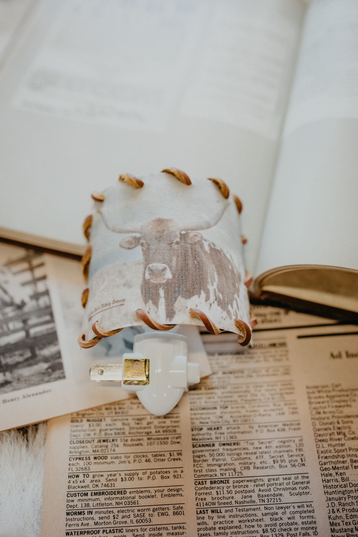 Western Night Lights (Multiple designs)